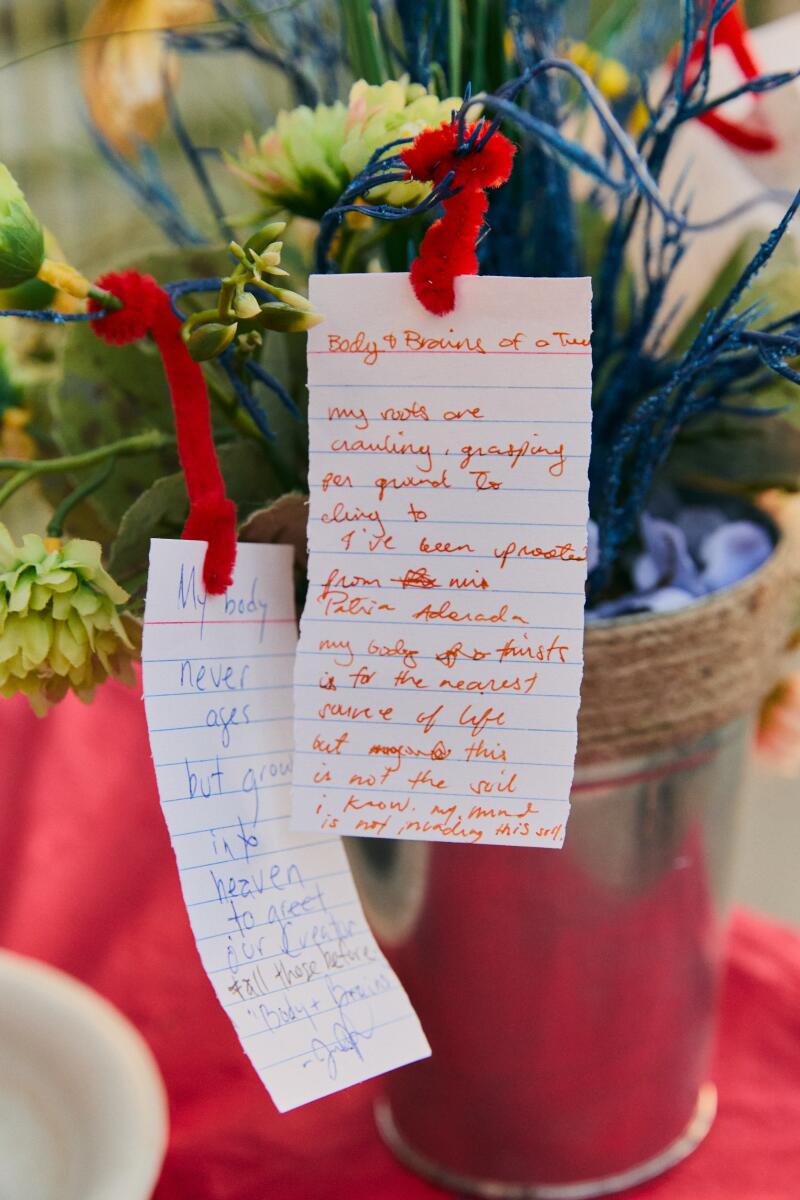 Plants with poems from the attendees outside the Libros bookstore.