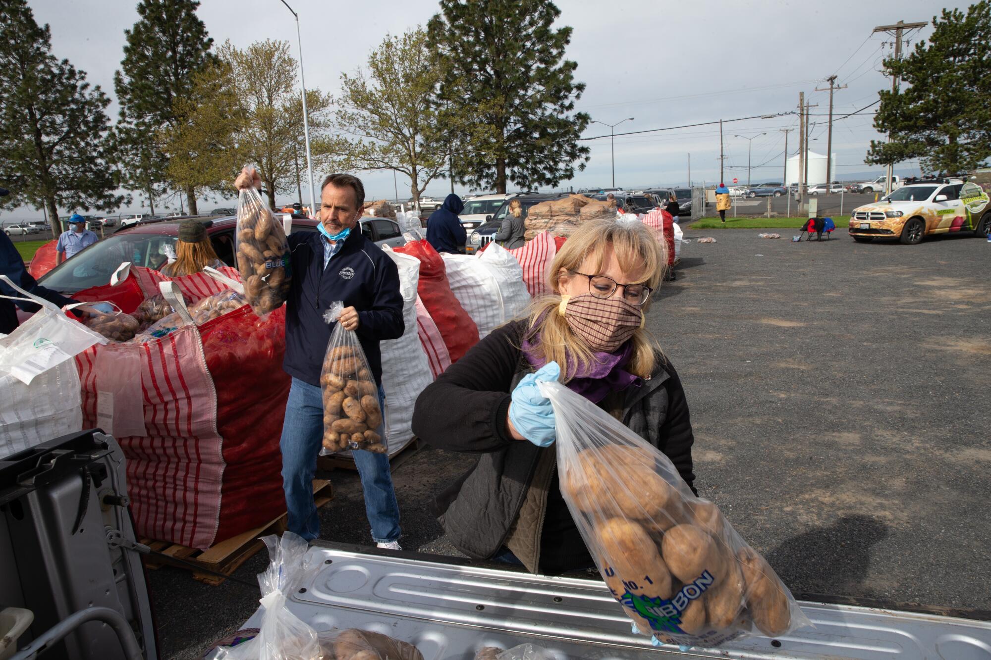 Chris Voigt, executive director of the Washington State Potato Commission, and Washington state Rep. Mary Dye (R-Pomeroy) load up a pickup truck during a free potato giveaway at the Grant County Fairgrounds in Moses Lake, Wash..