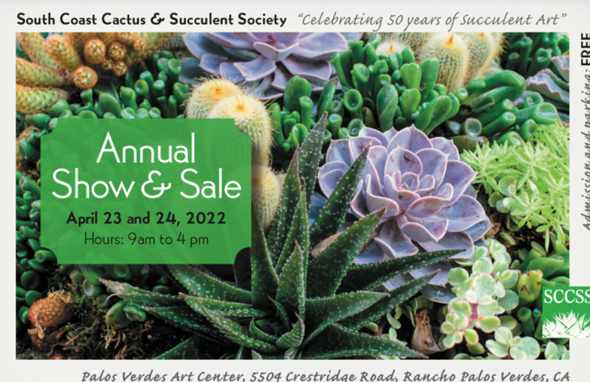 A flyer for an annual show and sale of succulents and cactus