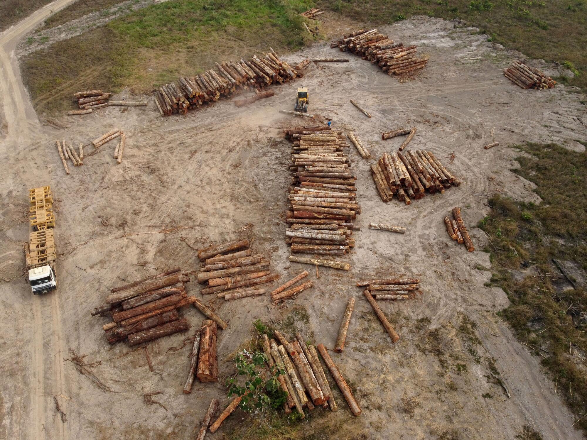 An aerial view of groups of logs in a clearing 