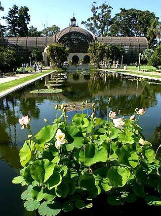 Botanical Building in Balboa Park is reflected in the nearby lily pond. The wood lath structure is home to more than 2,000 tropical plants.