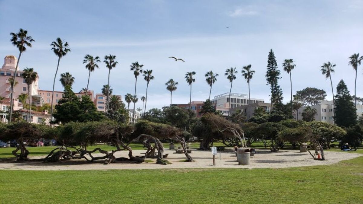 La Jolla's Ellen Browning Scripps Park