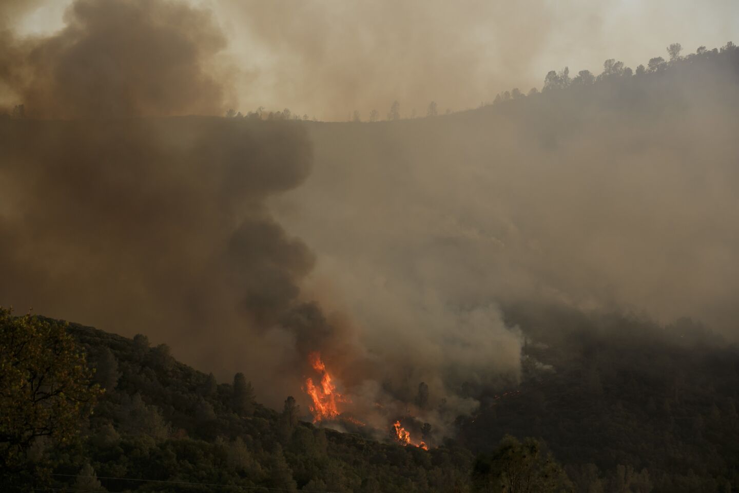 Fire climbs up a hill as the northern front of the Detwiler wildfire burns outside of Coulterville, Calif.