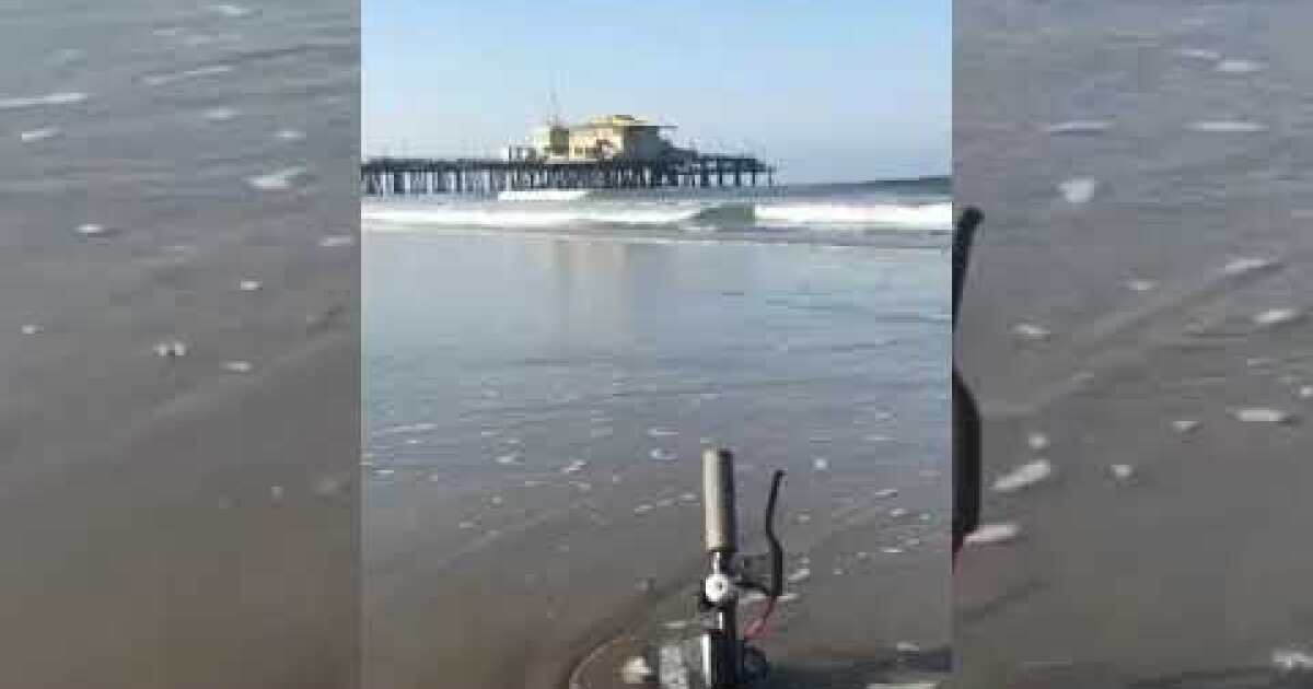 Submerged Bird scooter in Venice