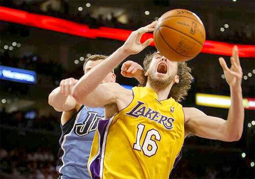 Pau Gasol, Matt Harpring