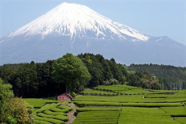 Mt. Fuji's stark beauty has inspired artists and poets for centuries. The iconic stratovolcano, often snow-capped, rises more than 12,000 feet on Honshu Island and is Japan's highest mountain.