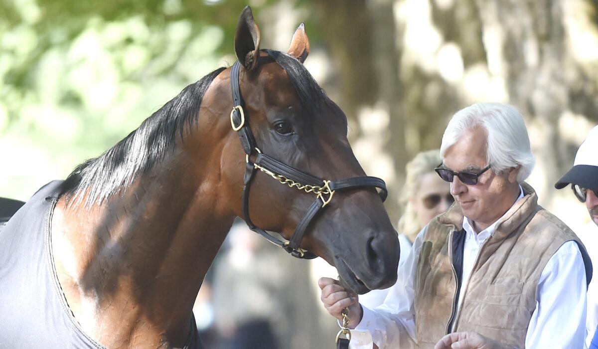 Trainer Bob Baffert holds Triple Crown winner American Pharoah after a workout at Saratoga Race Course on Friday.