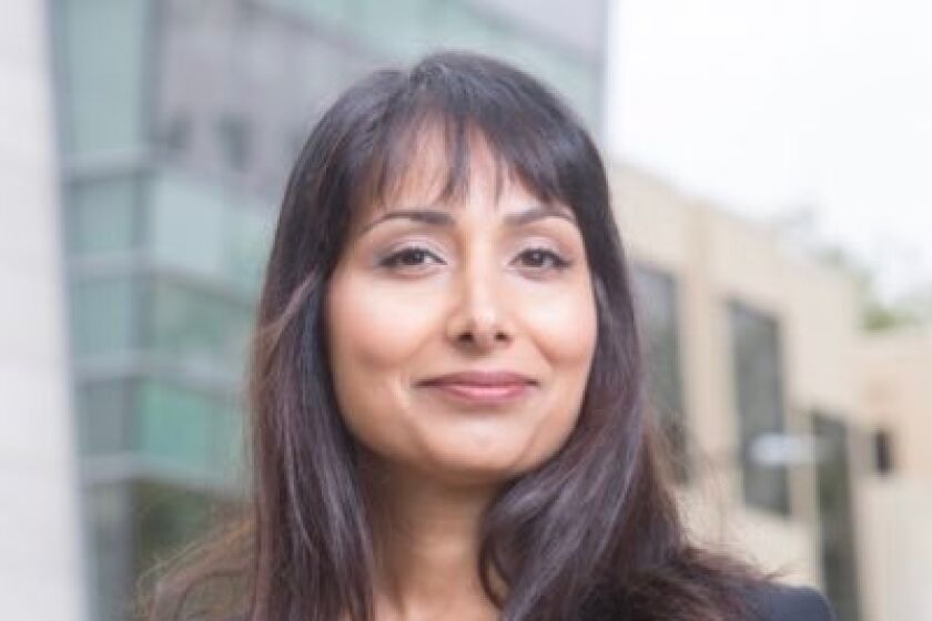 UC Hastings law professor Veena Dubal has faced months of harassment over her criticism of Uber and Lyft.