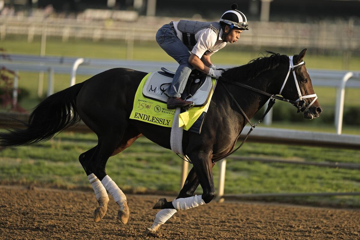 Kentucky Derby entrant Endlessly works out at Churchill Downs 