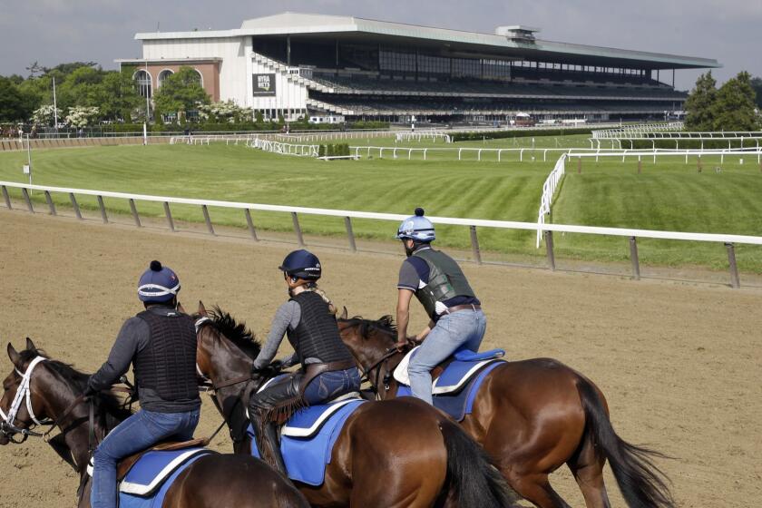 Riders workout with horses at Belmont Park in Elmont, N.Y., Thursday, June 6, 2019. The 151st Belmont Stakes horse race will be run on Saturday, June 8, 2019. (AP Photo/Seth Wenig)