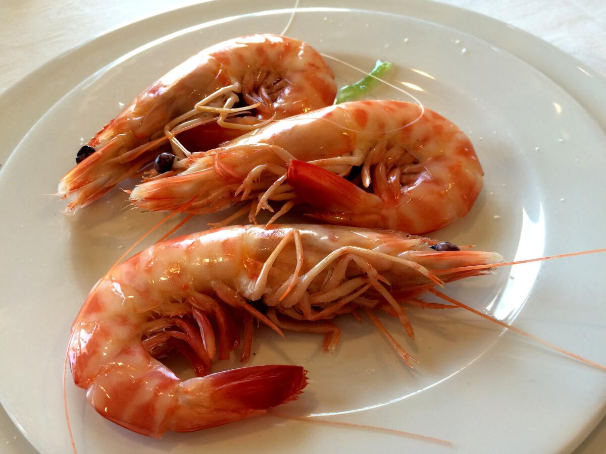 Langoustines at Casa Bigote in Sanlúcar de Barrabeda.