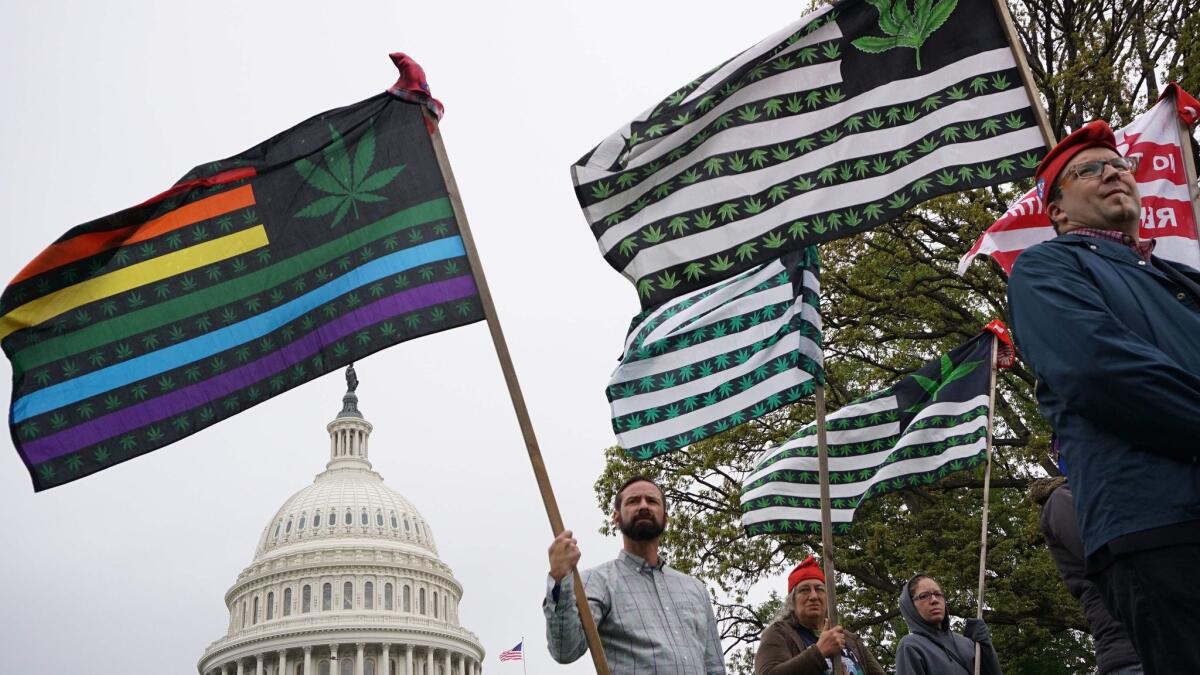 Pro-cannabis activists rally on Capitol Hill on April 24.