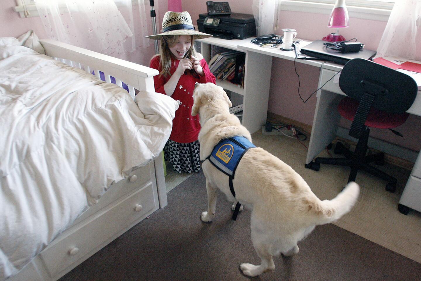 Chulack children fundraise for Canine Companions for Independence