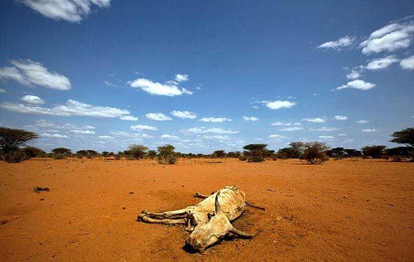 Famine in Africa
