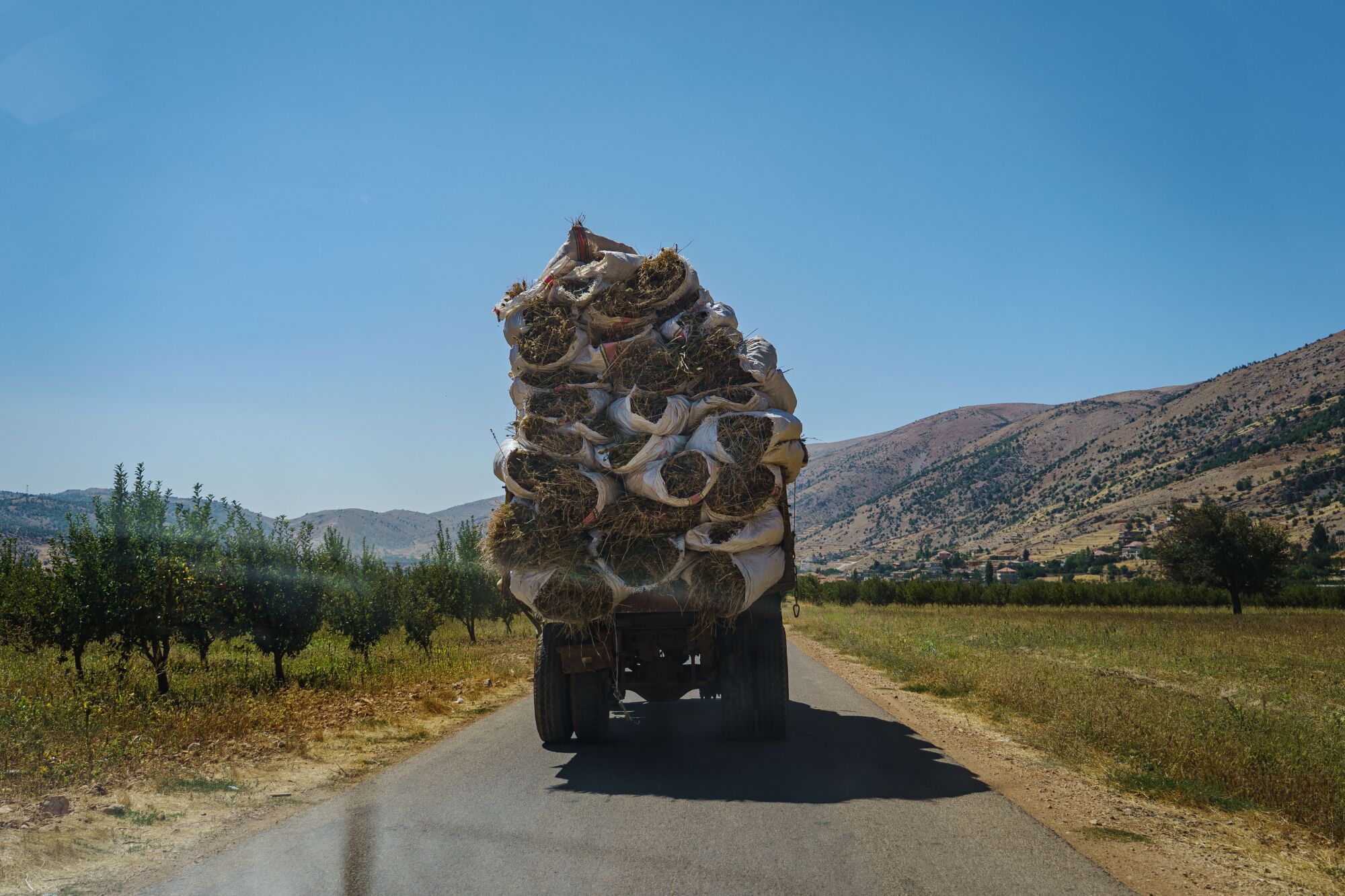 A truck full of dried cannabis plants is transported to an unknown location from a local plantation in Yammouneh, Lebanon.