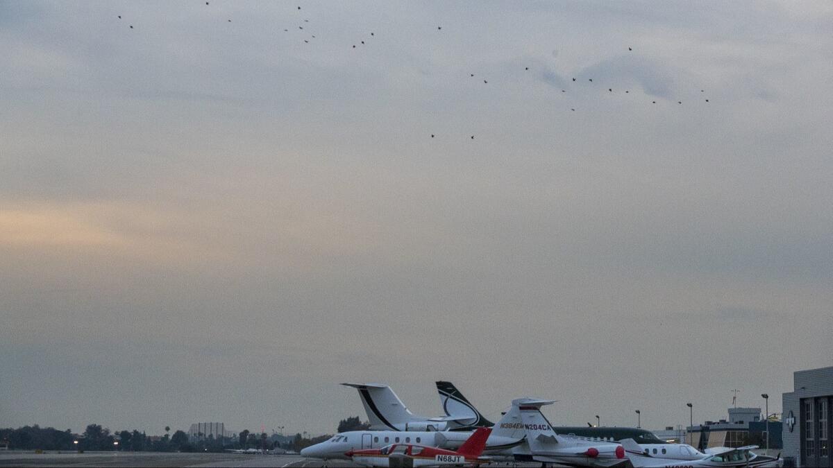 Crows fly over the runway at John Wayne Airport on March 7.
