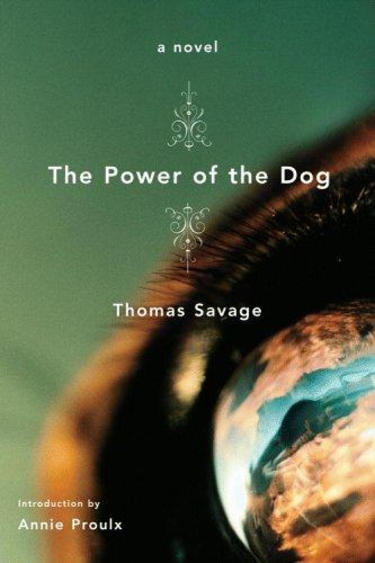 Book jacket for "The Power of the Dog" by author Thomas Savage.