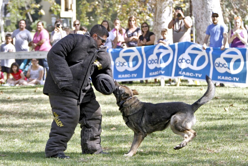 Police K 9s Wow The Crowd Los Angeles Times