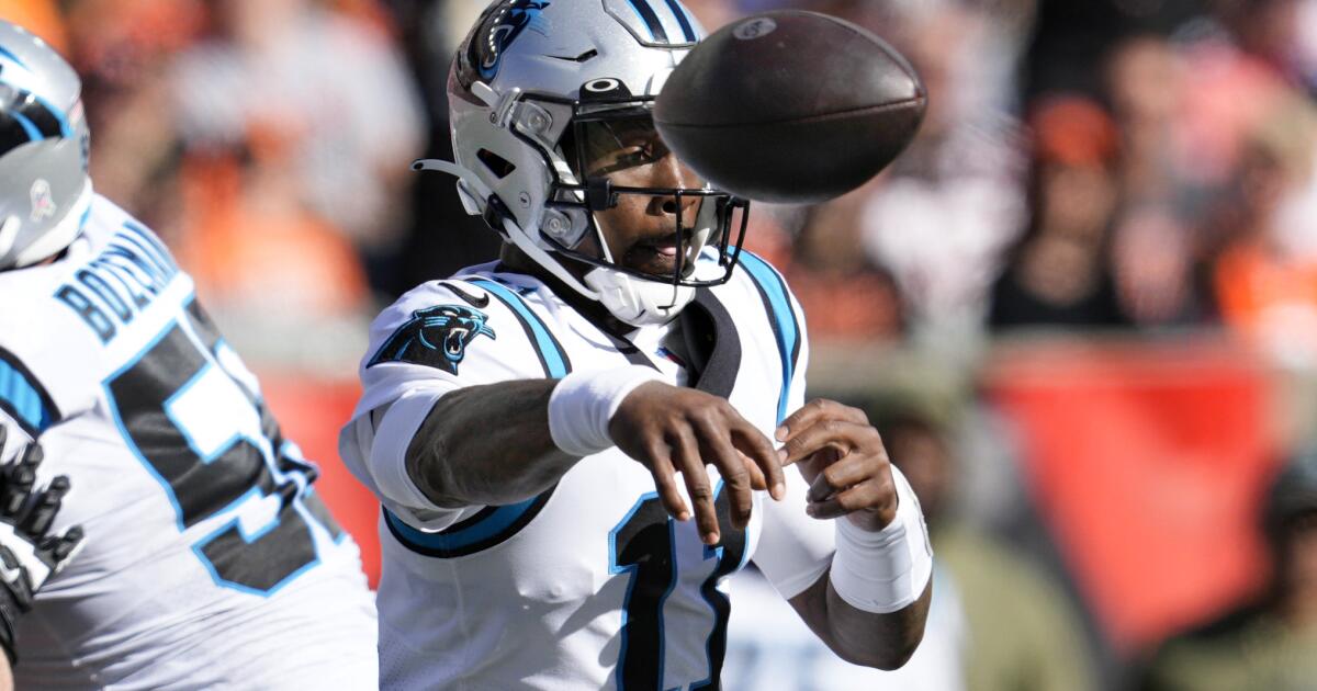 Panthers ponder starting QB spot