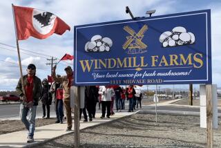 Workers at Windmill Farms march outside the mushroom farm on April 18 in Sunnyside, Washington. The mostly female work force is looking to be recognized as a union, and claim the farm has been trying to replace them with male guest workers.(Salvador Hernandez / Los Angeles Times)