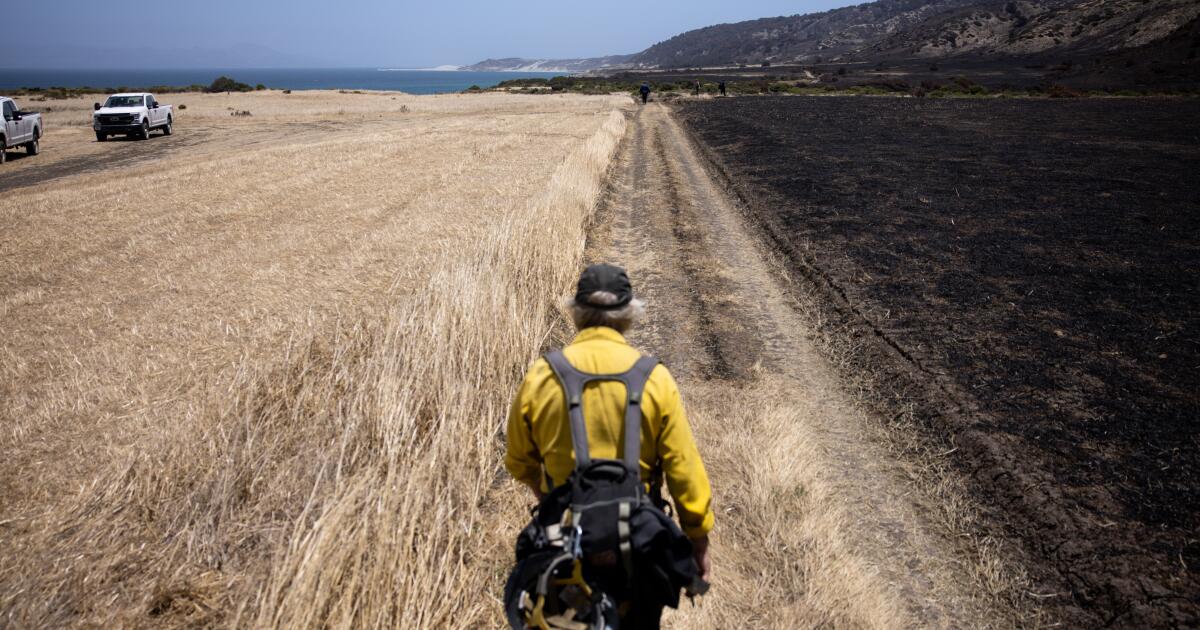 The fire destroyed the pristine island of California. Will it recover? The fire destroyed the pristine island of California. Will it recover?