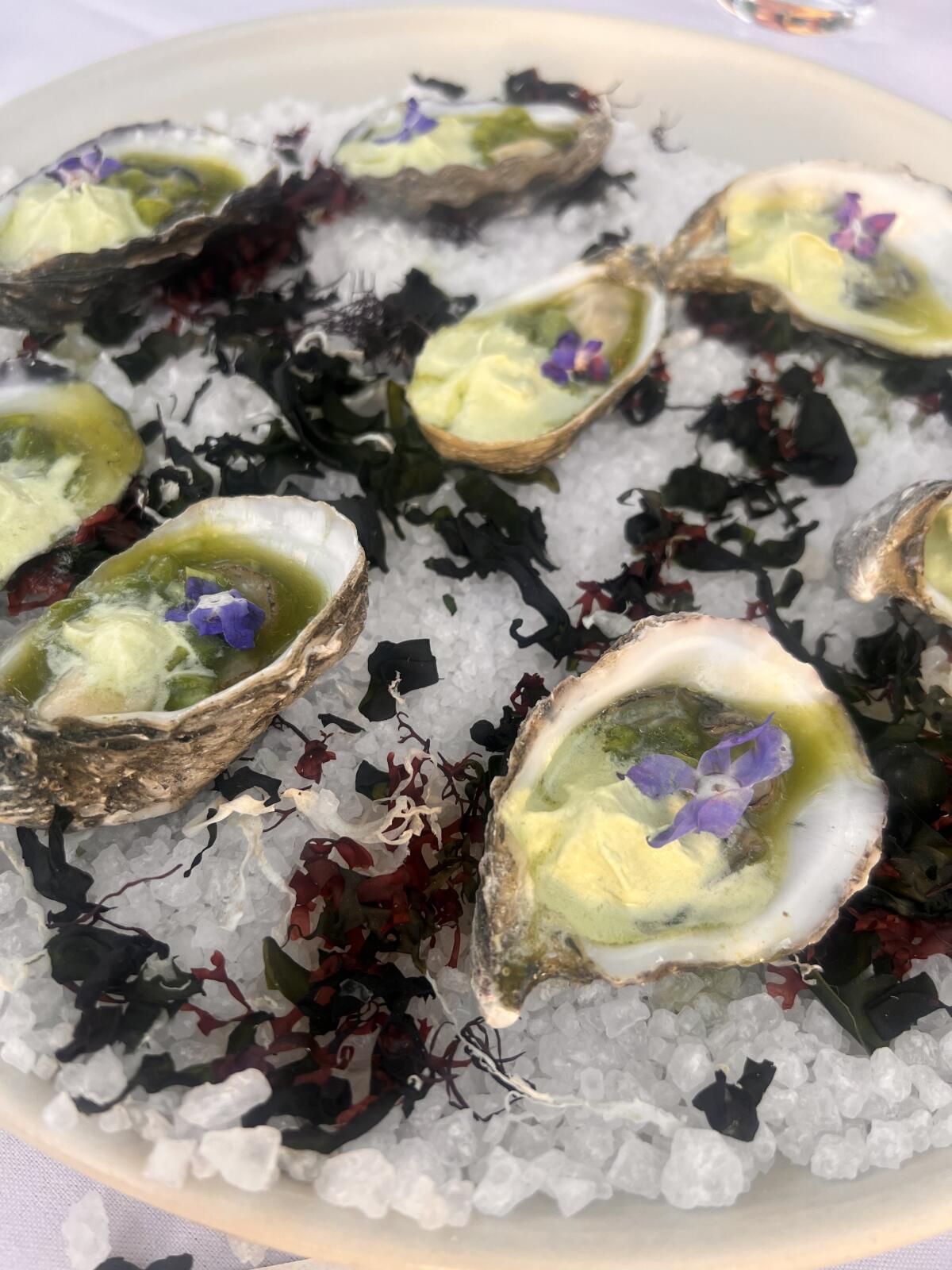 A plate of oysters 