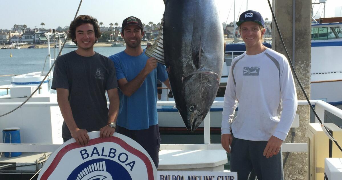 Tuna: A San Diego fish story - The San Diego Union-Tribune