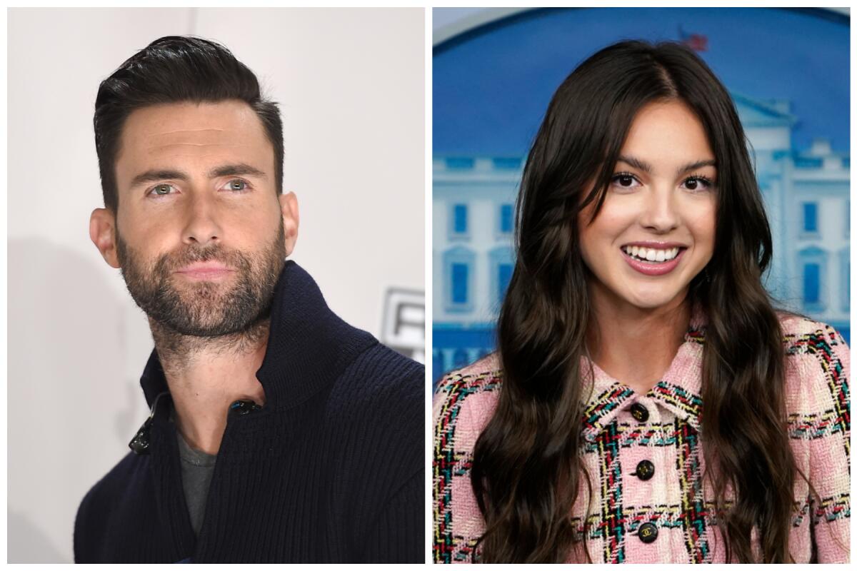 Olivia Rodrigo Concert Experience Illustration 2025