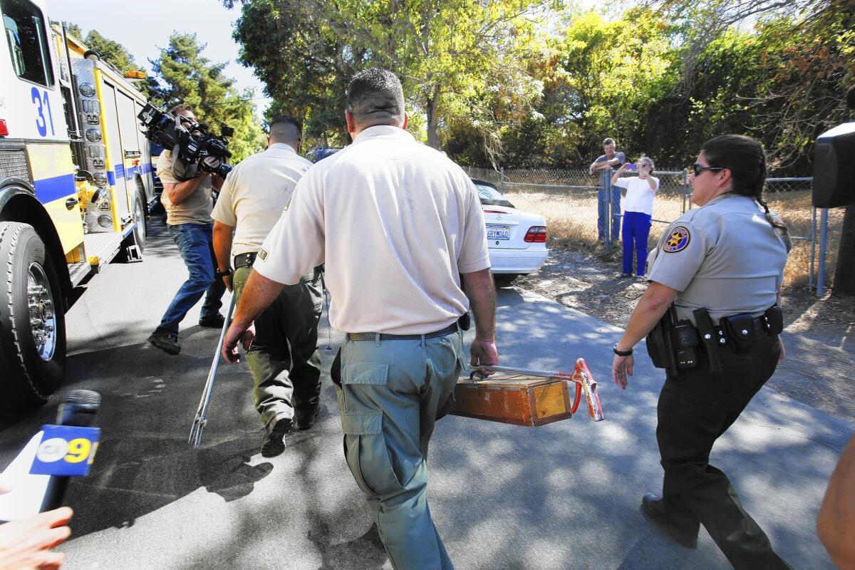 A monocled cobra captured in Thousand Oaks is carried in a box to a truck. The snake was taken to the Los Angeles Zoo.