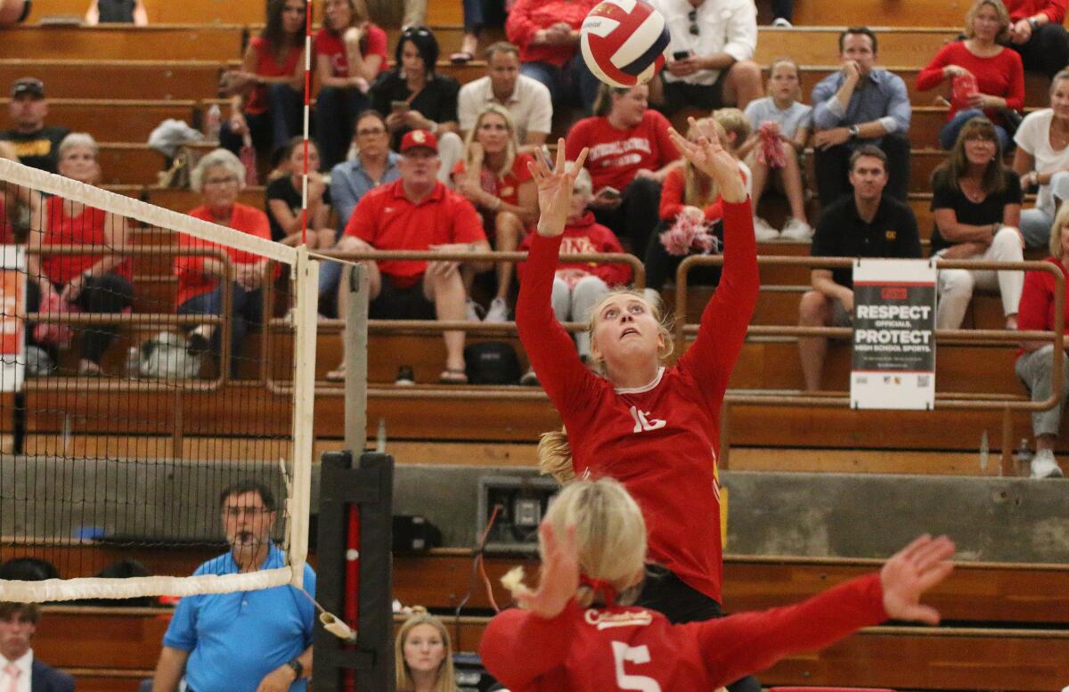 Don setter Amanda Saeger