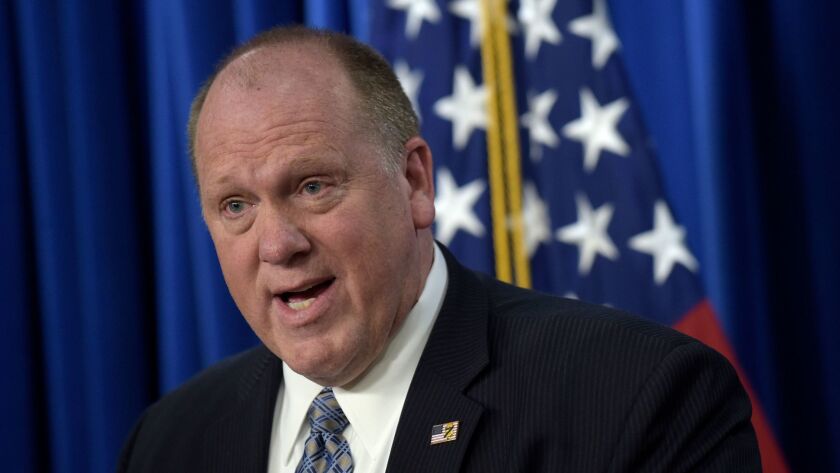 U.S. Immigration and Customs Enforcement acting Director Thomas Homan, in file photo, said Wednesday that more than 40,000 people have been arrested on civil immigration charges this year.
