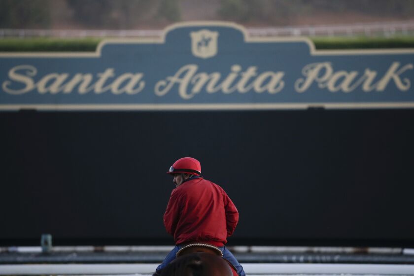 FILE - In this Oct. 29, 2014, file photo, an outrider waits by the track as horses train for the Breeders' Cup horse races at Santa Anita Park in Arcadia, Calif. An investigation into numerous horse deaths at Santa Anita Park found no criminal wrongdoing but produced a list of recommendations for improving safety at all California racetracks, the Los Angeles County district attorney said in a report Thursday Dec. 19, 2019. (AP Photo/Jae C. Hong, File)