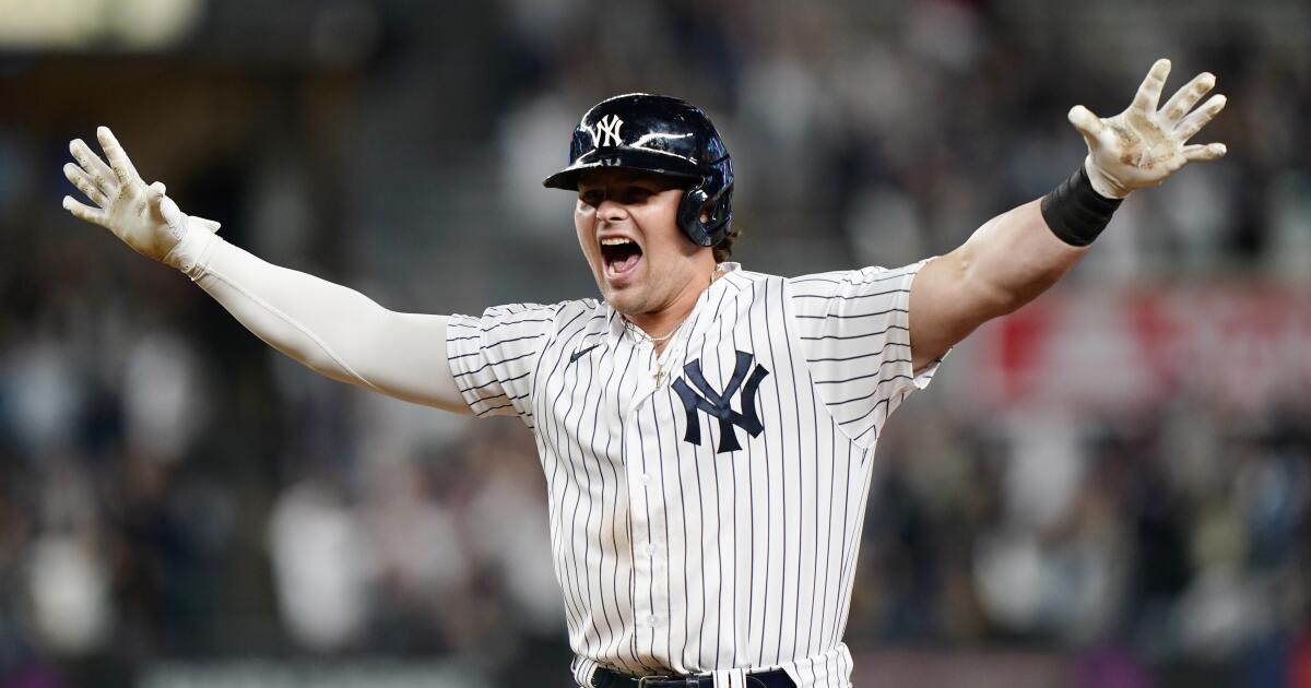 New York Yankees: What does Luke Voit bench press?