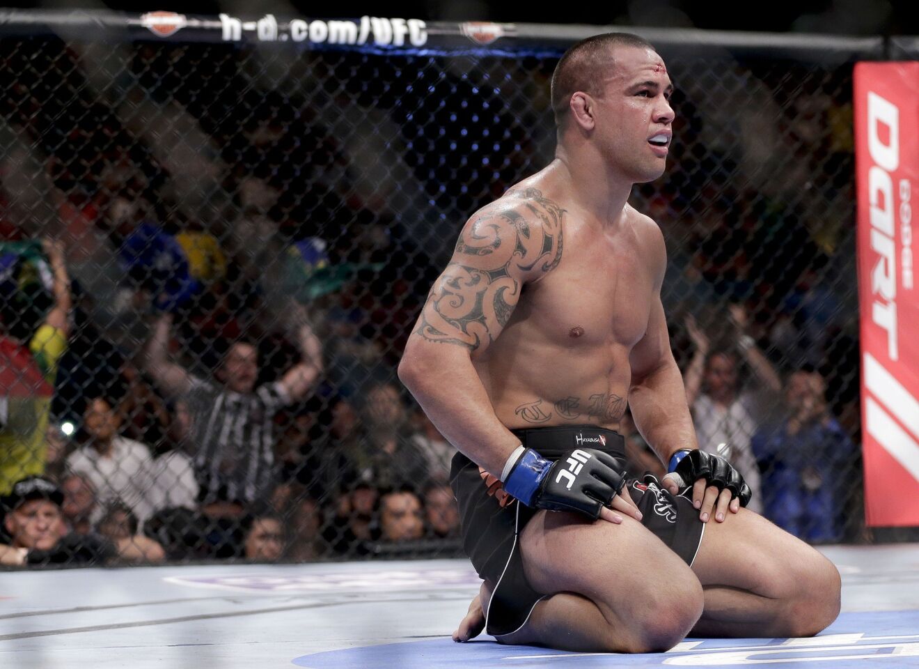 Ufc 160 Cain Velasquez Vs Bigfoot Silva Los Angeles Times 