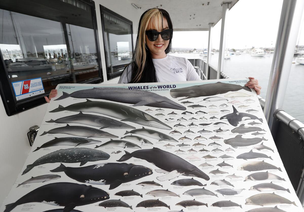 Capt. Dani Fasser holds a poster guests use to identify the whales they watch on the Newport Legacy boat on Thursday.