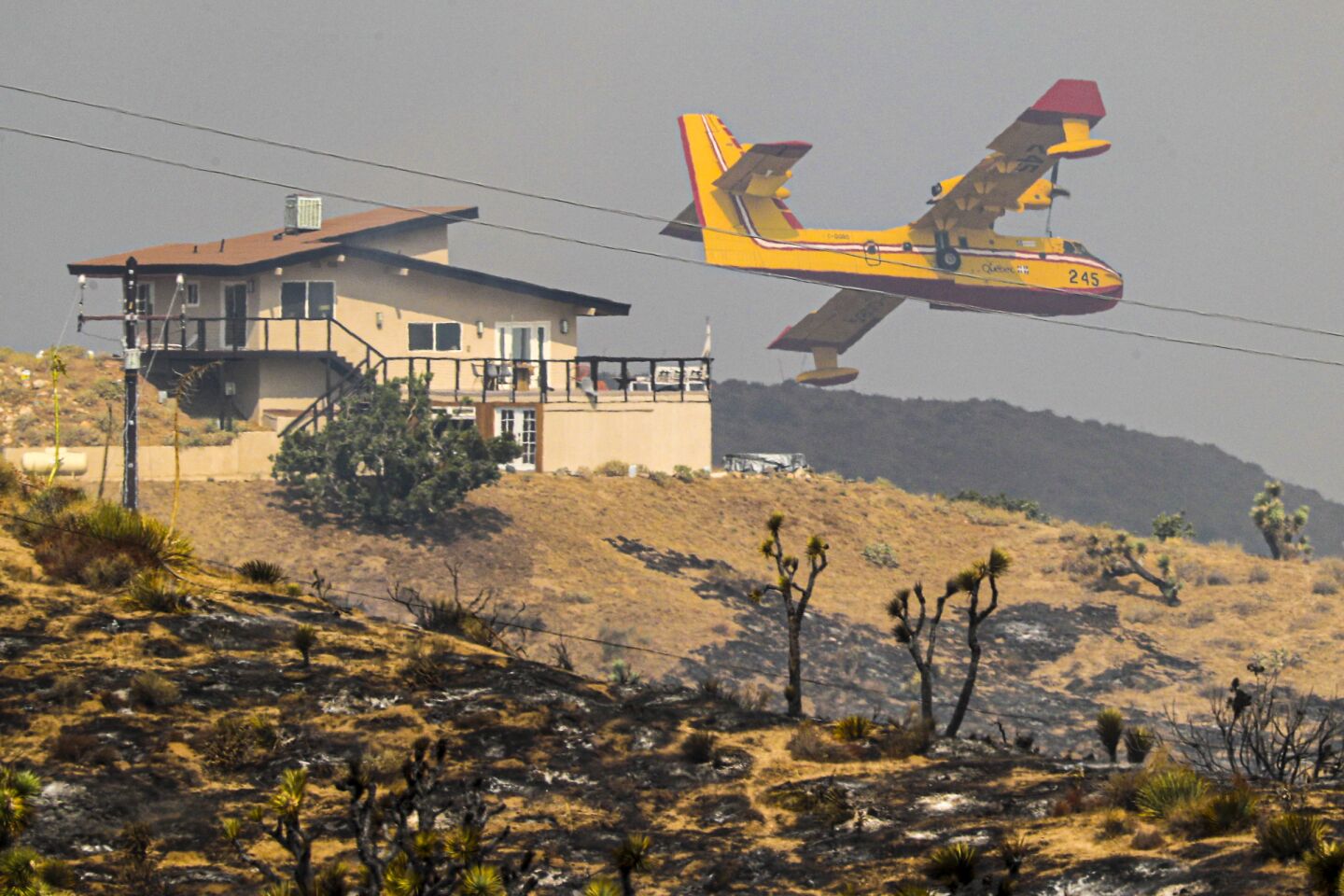 A water-dropping plane heads for the Bobcat fire