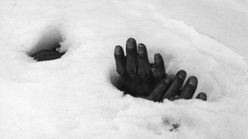 Max Desfor's 1951 photo of a pair of bound hands in the snow at Yangji, Korea, reveals the presence of the body of a Korean civilian who had been shot by retreating Communists and left to be covered in snow.
