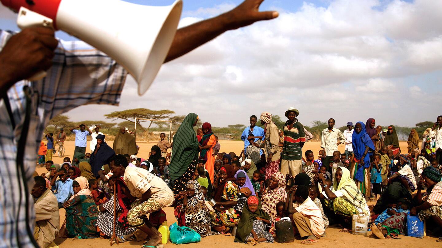 New arrivals at Dadaab