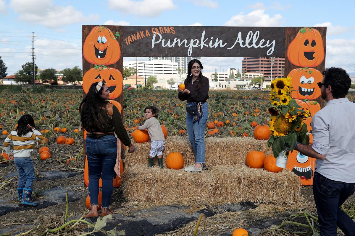 Molly Cabrera, center, poses during a visit Friday to the pick-your-own pumpkin patch at Hana Field in Costa Mesa.