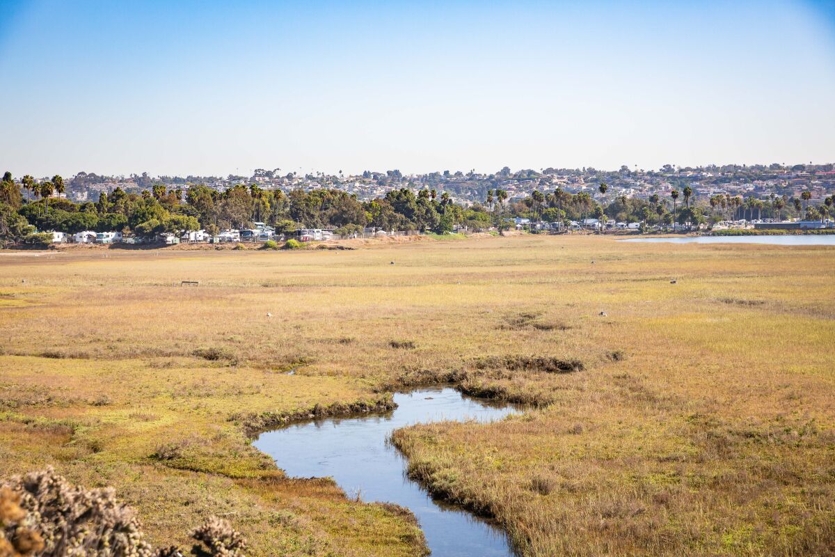 The Kendall-Frost Mission Bay Marsh Reserve is seen with the Campland on the Bay RV park in the background.