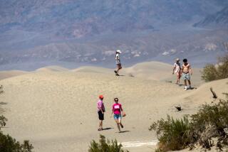 Death Valley, CA - July 18: In extreme heat visitors pop out of their vehicles and run out to the Mesquite Flat Sand Dunes on Tuesday, July 18, 2023, in Death Valley, CA. With the wind, it feels like a furnace blowing hot air. (Francine Orr / Los Angeles Times)