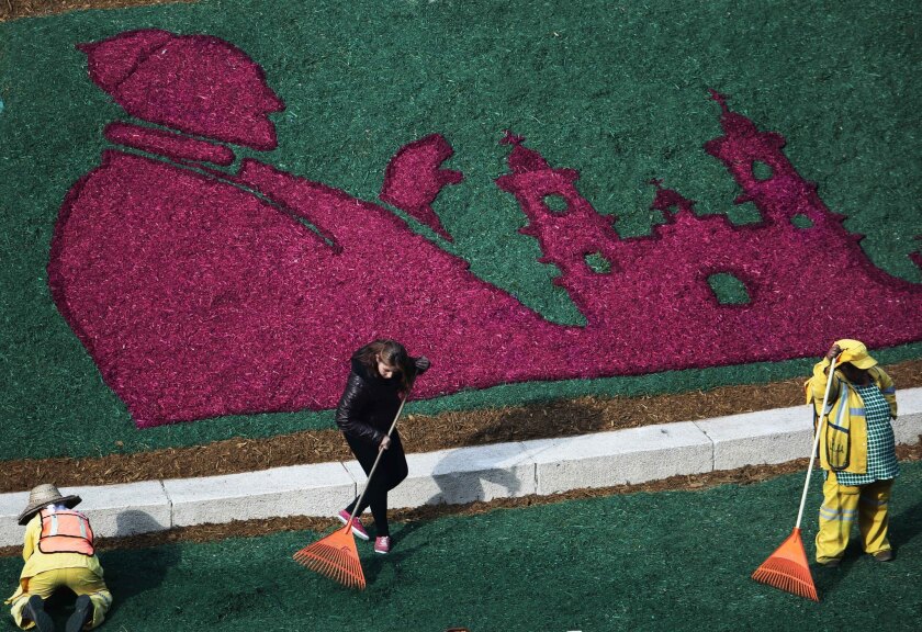 Trabajadores le dan los últimos toques a una imagen del papa Francisco hecha con flores en un terreno junto al Angel de la Independencia en la Ciudad de México. El pontífice visitará México del 12 al 18 de febrero. (AP Photo/Enric Martí)