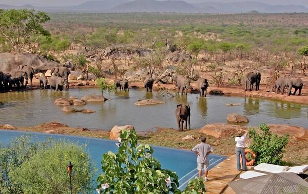 Elephants take their ease at a watering hole at Bilila Lodge Kempinski, making it easy for guests to get a close-up view of some of the wildlife of Tanzania's Serengeti National Park.