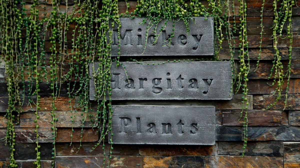 Mickey Hargitay Plants has remained a fixture in one of L.A.’s iconic communities.