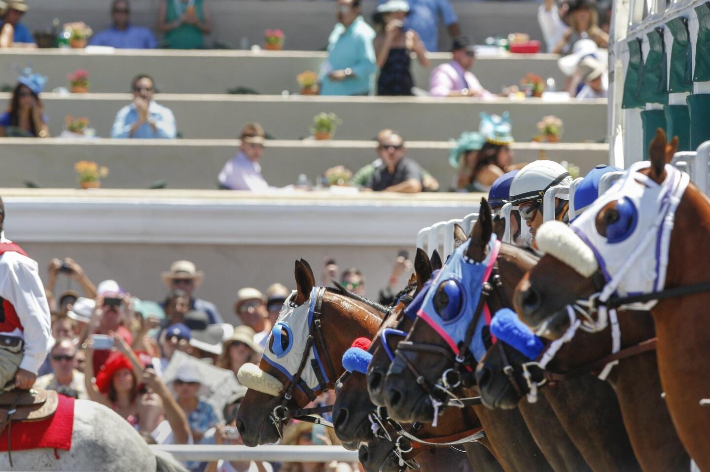 Horses come out of the gates at the start of the first race.