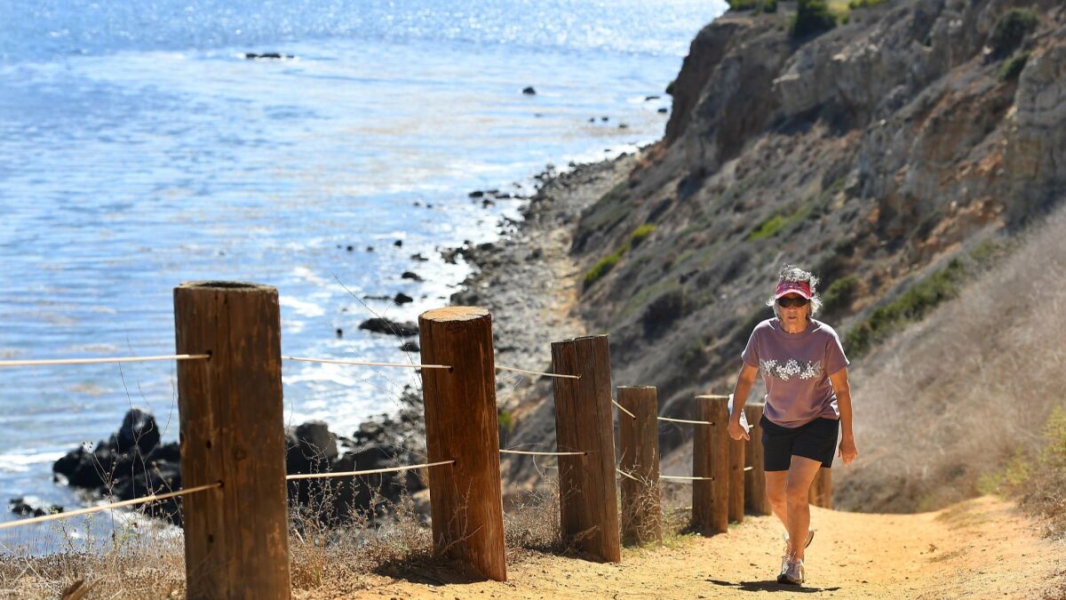 Maureen Sassoon walks up a hiking path in Rancho Palos Verdes. In Southern California, cliffs could recede more than 130 feet by the year 2100 if the sea keeps rising, according to a new study.