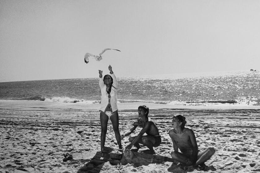 Barbara Hershey, Richard Thomas and Bruce Davison in 'Last Summer'