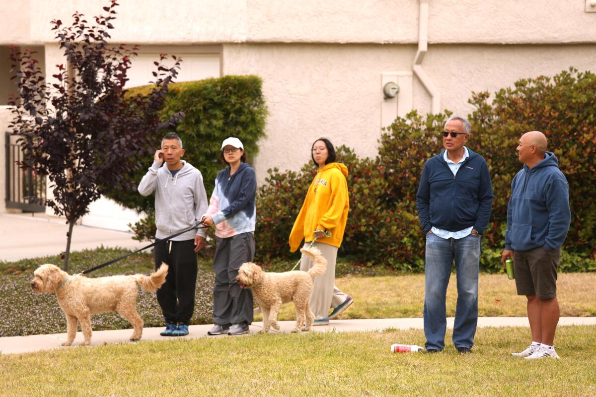People, two with leashed dogs, gather in a grassy area