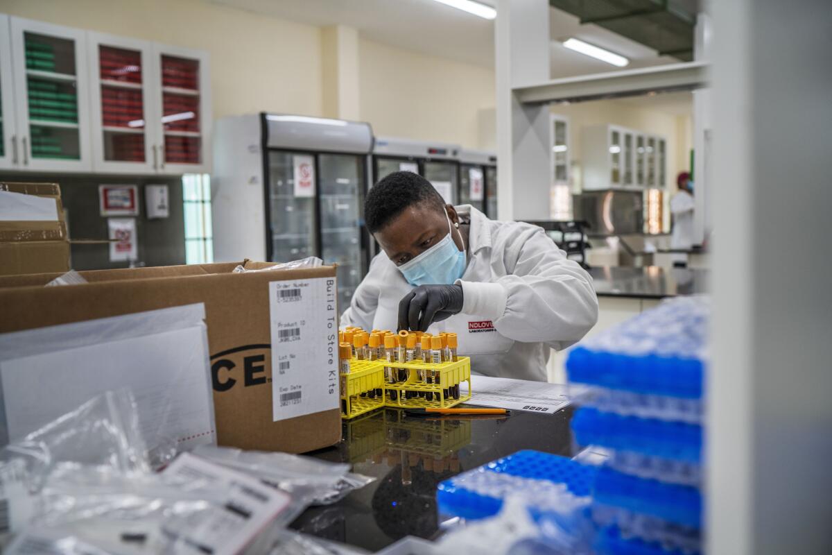 A lab technician handles blood samples in test tubes.
