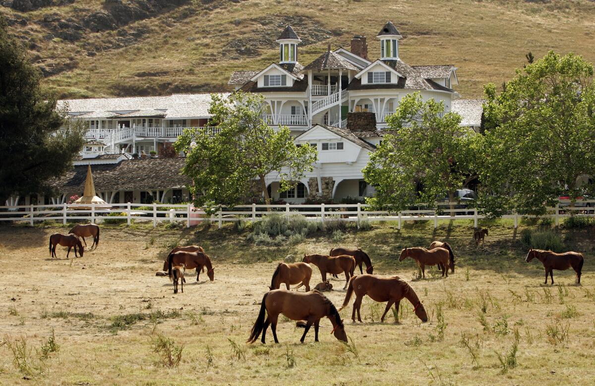 Horses graze in a field next to a hotel 